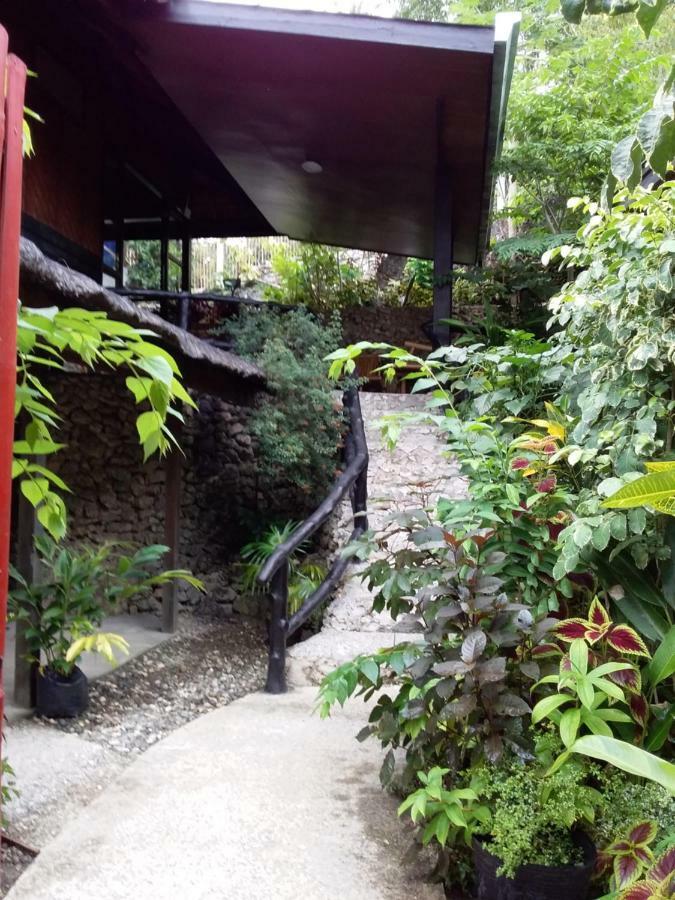 Serbab Guesthouse 锡基霍尔 外观 照片