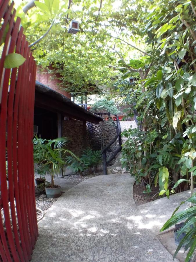 Serbab Guesthouse 锡基霍尔 外观 照片